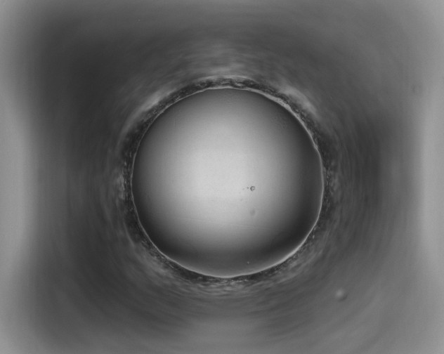 X0000115521159200911061411