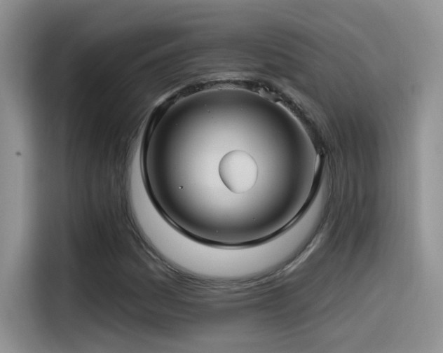 X0000115521161200911061411