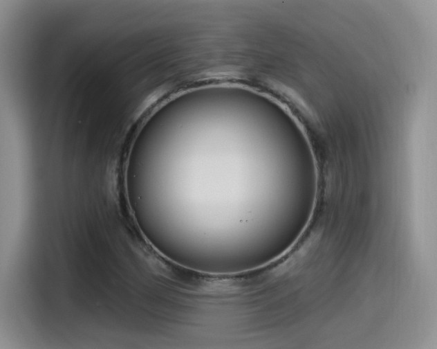 X0000115521162200911061411