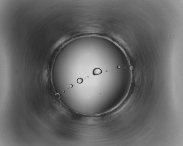 X0000115521163200911061411