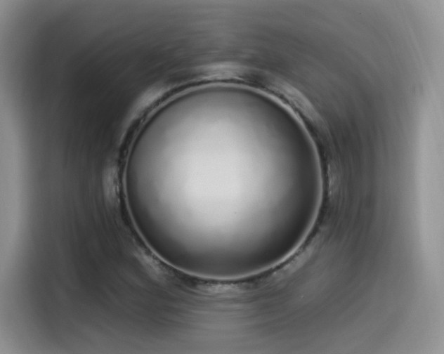 X0000115521164200911061411