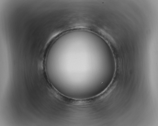 X0000115521166200911061411