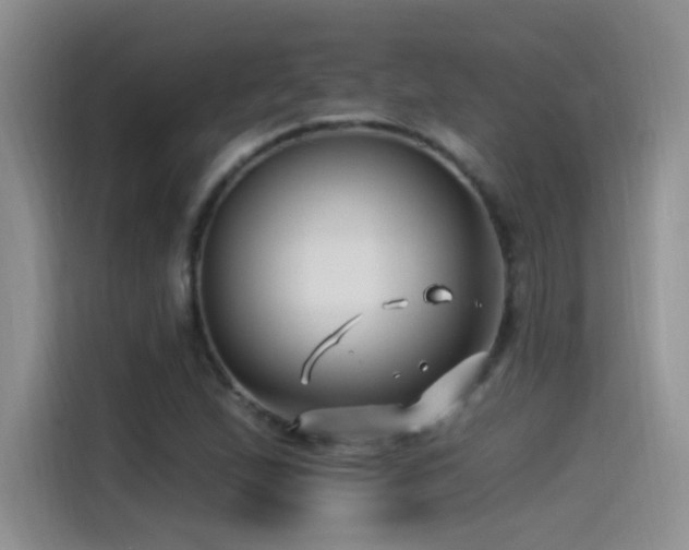 X0000115521167200911061411