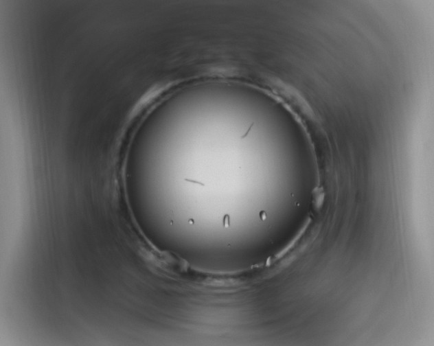 X0000115521168200911061411