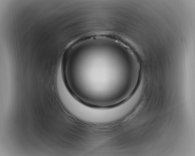 X0000115521169200911061411
