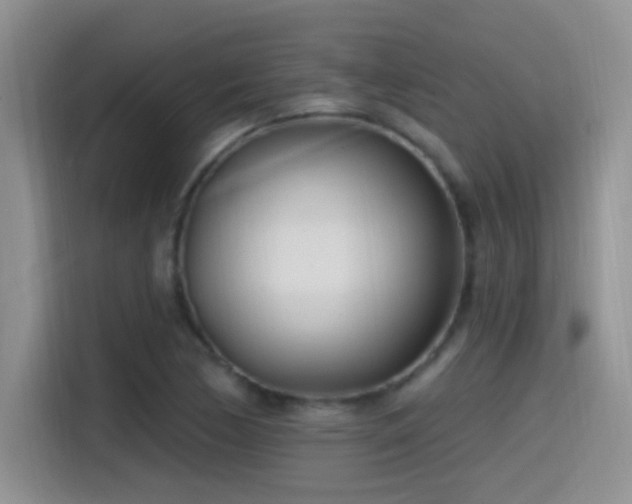 X0000115521170200911061411