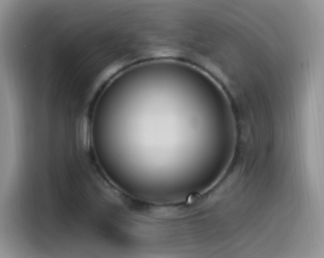 X0000115521171200911061411