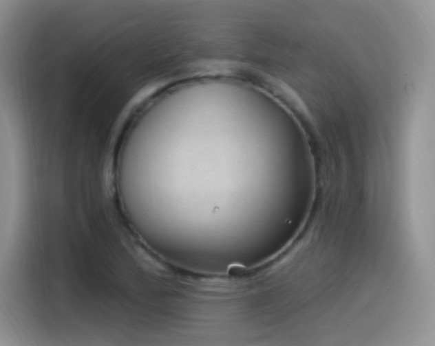 X0000115521172200911061411