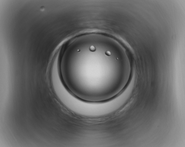 X0000115521173200911061411