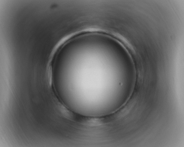 X0000115521175200911061411