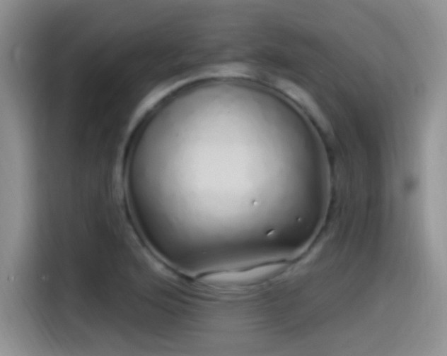 X0000115521176200911061411