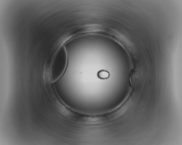 X0000115521177200911061411