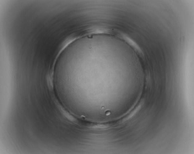X0000115521178200911061411