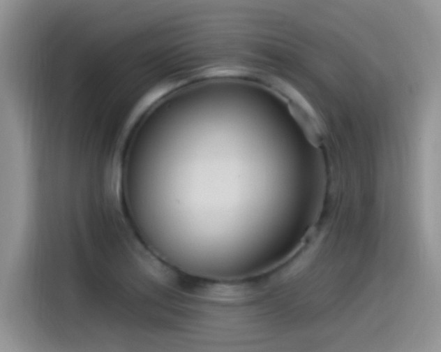 X0000115521179200911061411