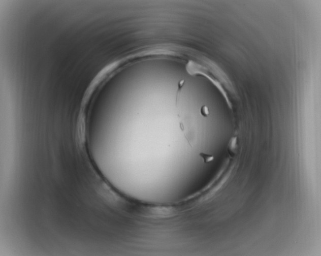 X0000115521180200911061411