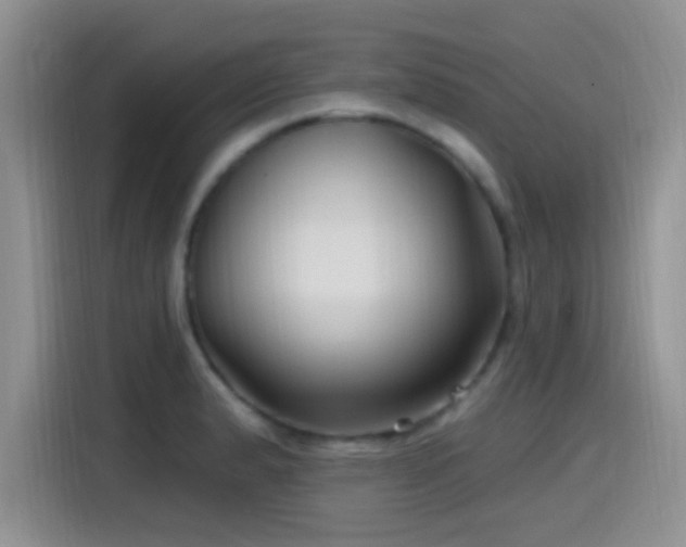 X0000115521183200911061411