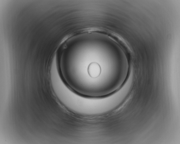 X0000115521185200911061411