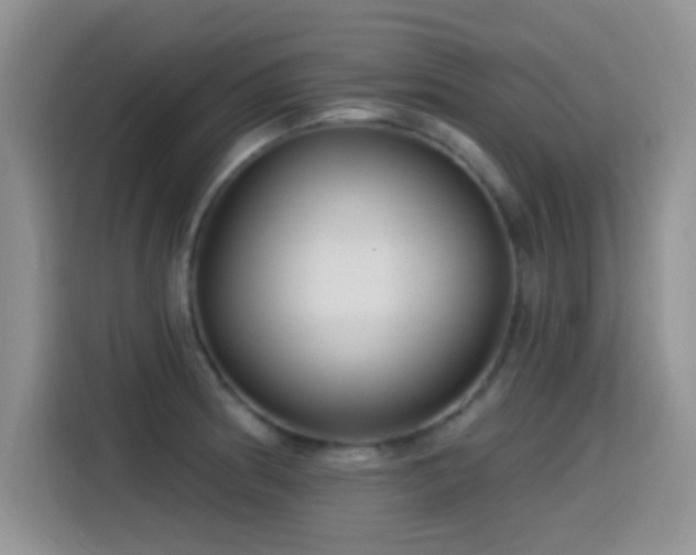 X0000115521186200911061411