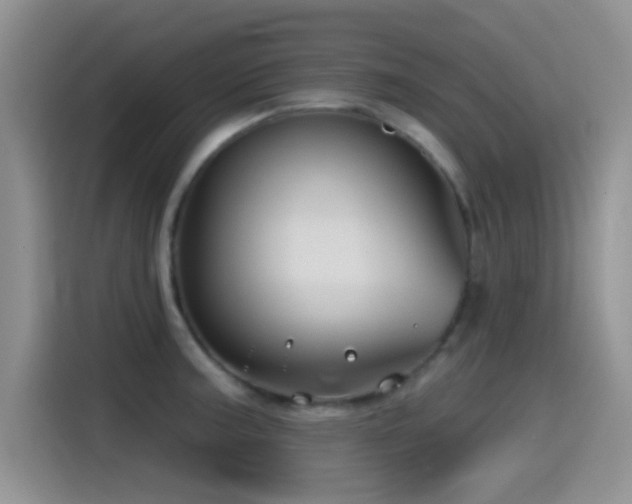 X0000115521187200911061411