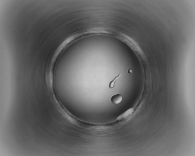 X0000115521188200911061411