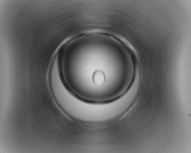 X0000115521189200911061411