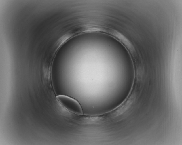 X0000115521193200911061411