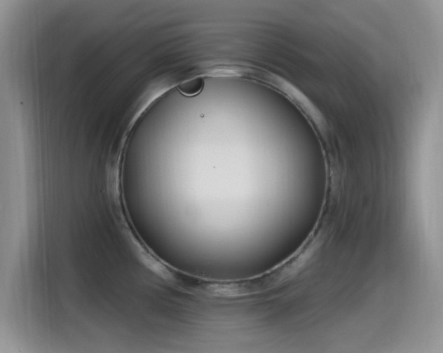 X0000115521194200911061411