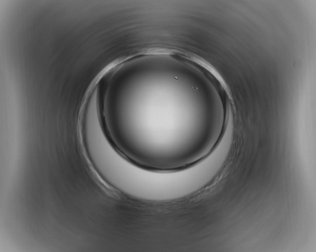 X0000115521195200911061411