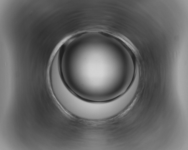X0000115521196200911061411