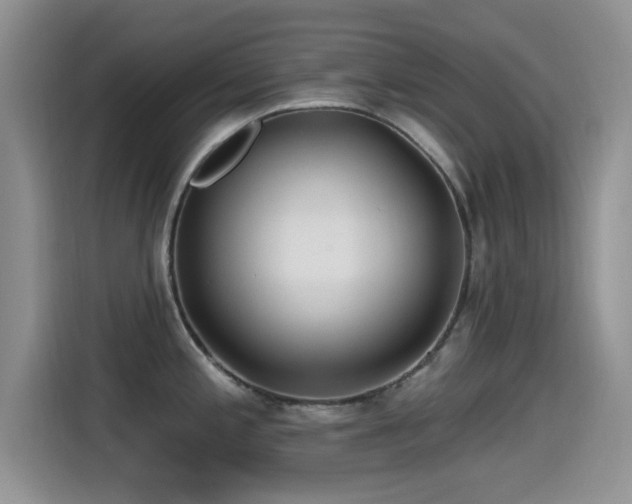 X0000115521197200911061411