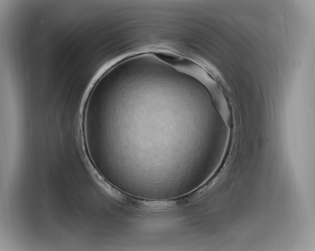 X0000115521200200911061411