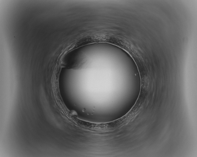 X0000115521201200911061410