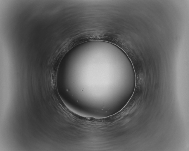 X0000115521202200911061410