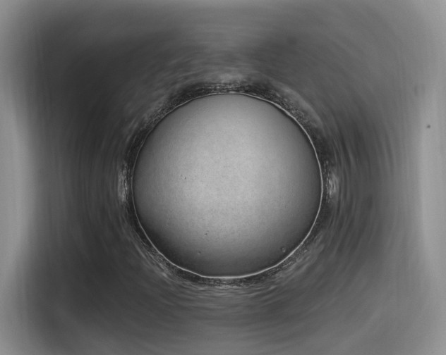 X0000115521204200911061410
