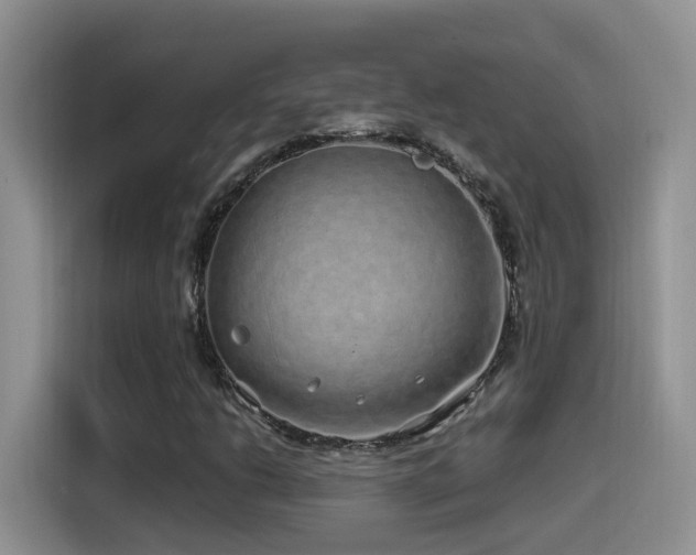 X0000115521206200911061410