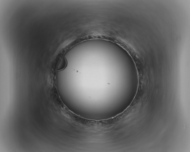 X0000115521207200911061410
