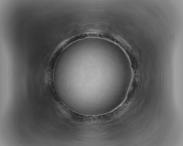 X0000115521208200911061410