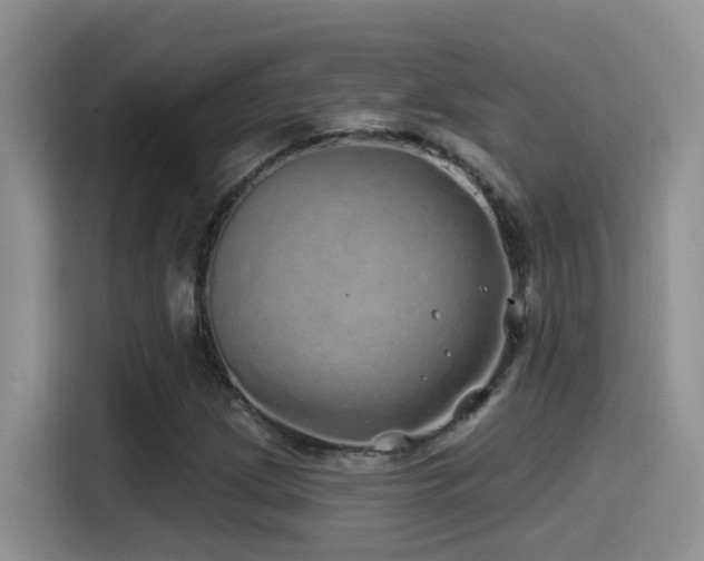X0000115521209200911061410