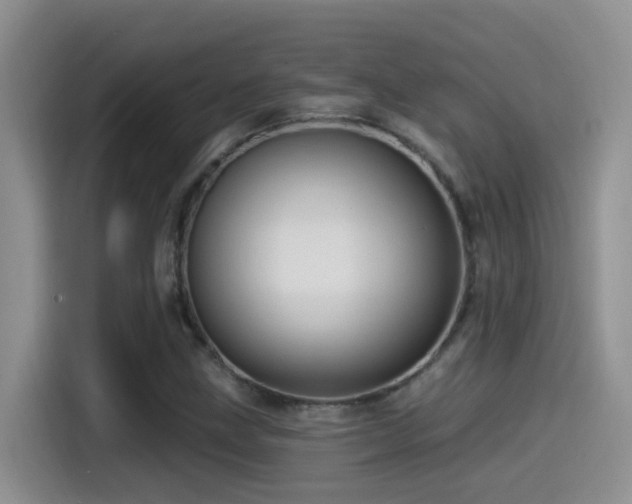 X0000115521211200911061410