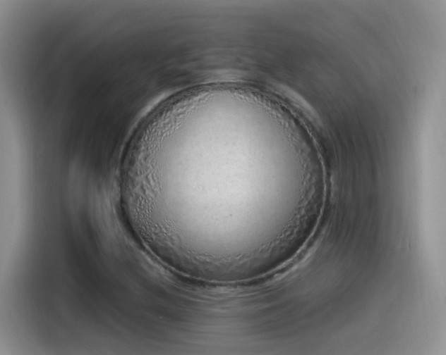 X0000115521212200911061410