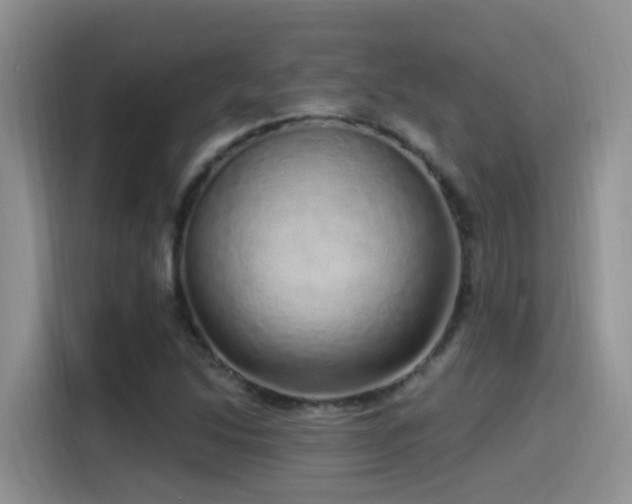 X0000115521214200911061410