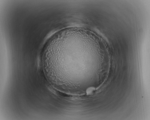 X0000115521215200911061410