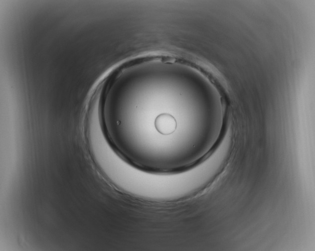 X0000115521216200911061410