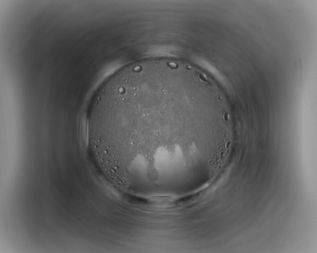 X0000115521219200911061410
