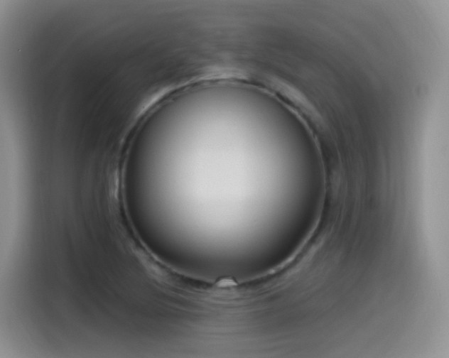 X0000115521220200911061410