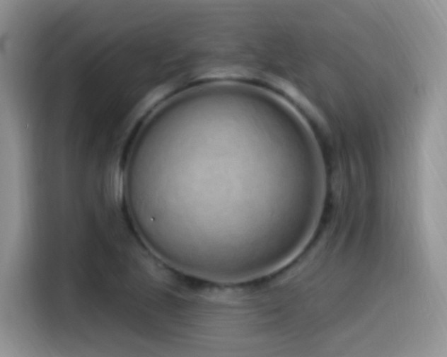 X0000115521221200911061410