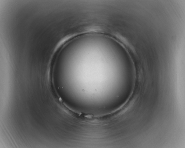X0000115521222200911061411