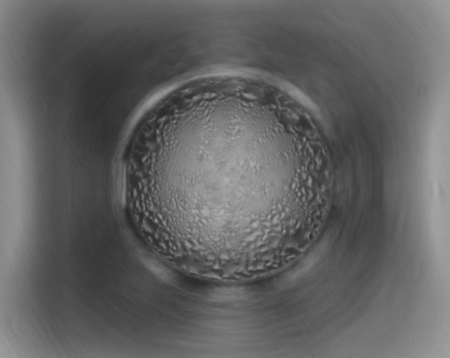 X0000115521223200911061411