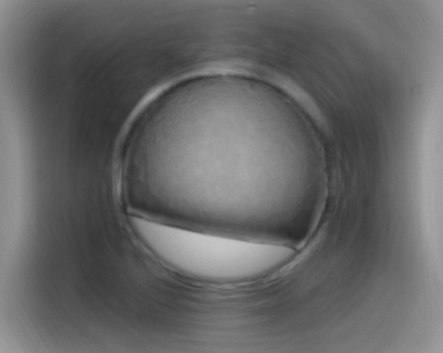X0000115521224200911061411