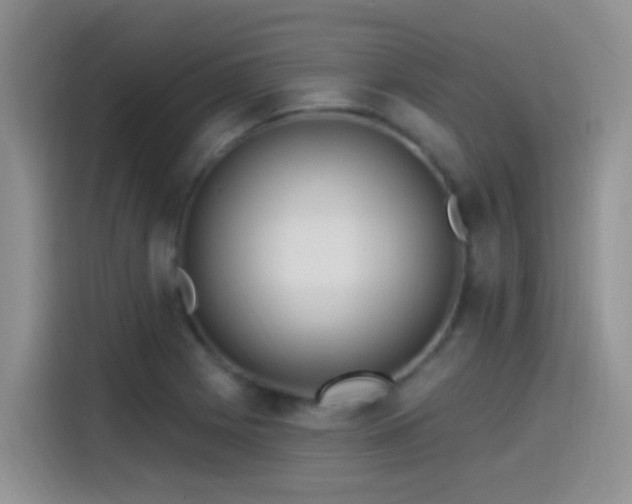 X0000115521225200911061411
